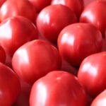 ≪【紅唐】べにとう≫
