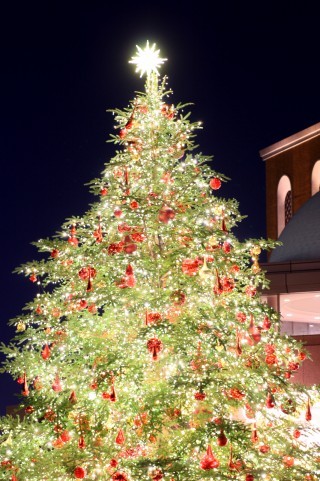 クリスマス