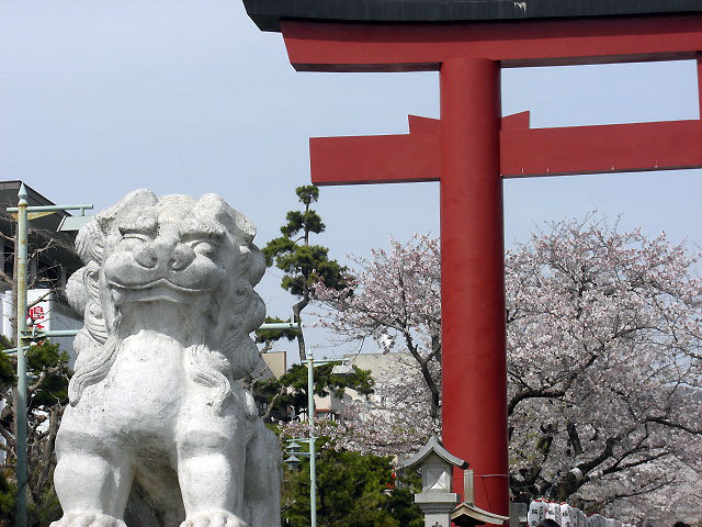 $オーラソーマ 総合情報サイト ブログ-2012sakura1