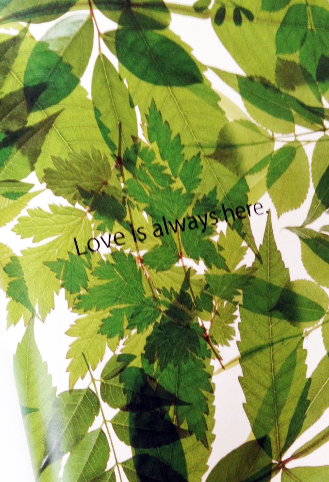 Love is always here