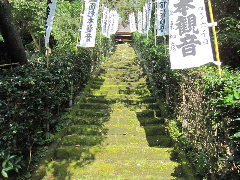 杉本観音1